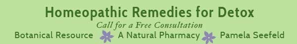 homeopathics-detox-banner