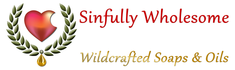 sinfully-whoesome-logo-750X225